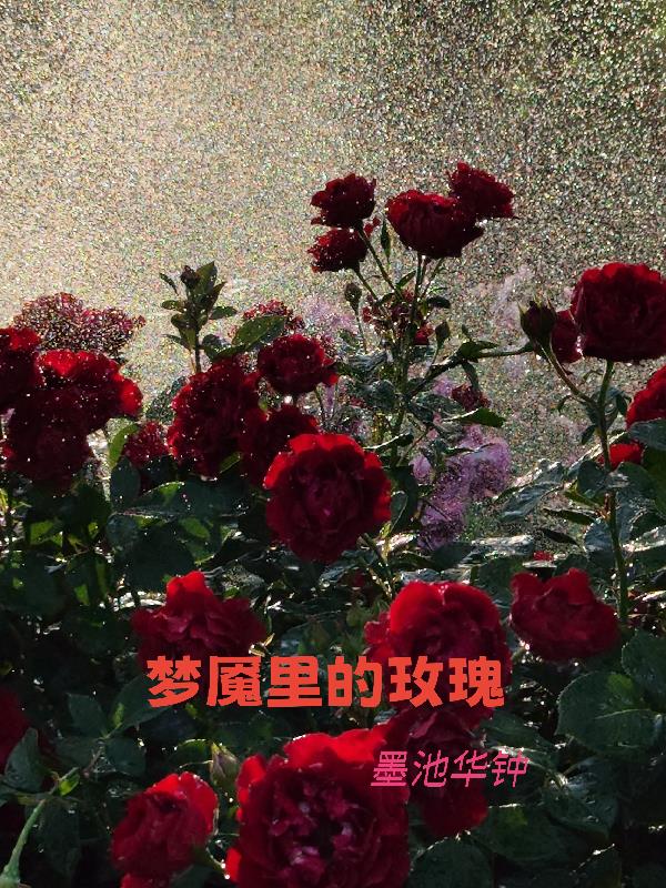 梦魇里的玫瑰