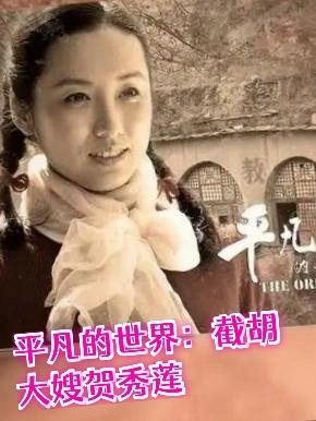 穿越平凡：我大哥西北锤王孙少安