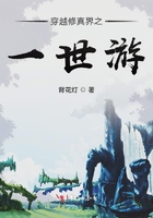 穿越修真界之一世游