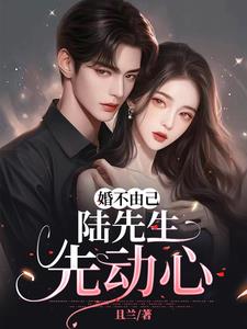 婚后动心陆太太很美